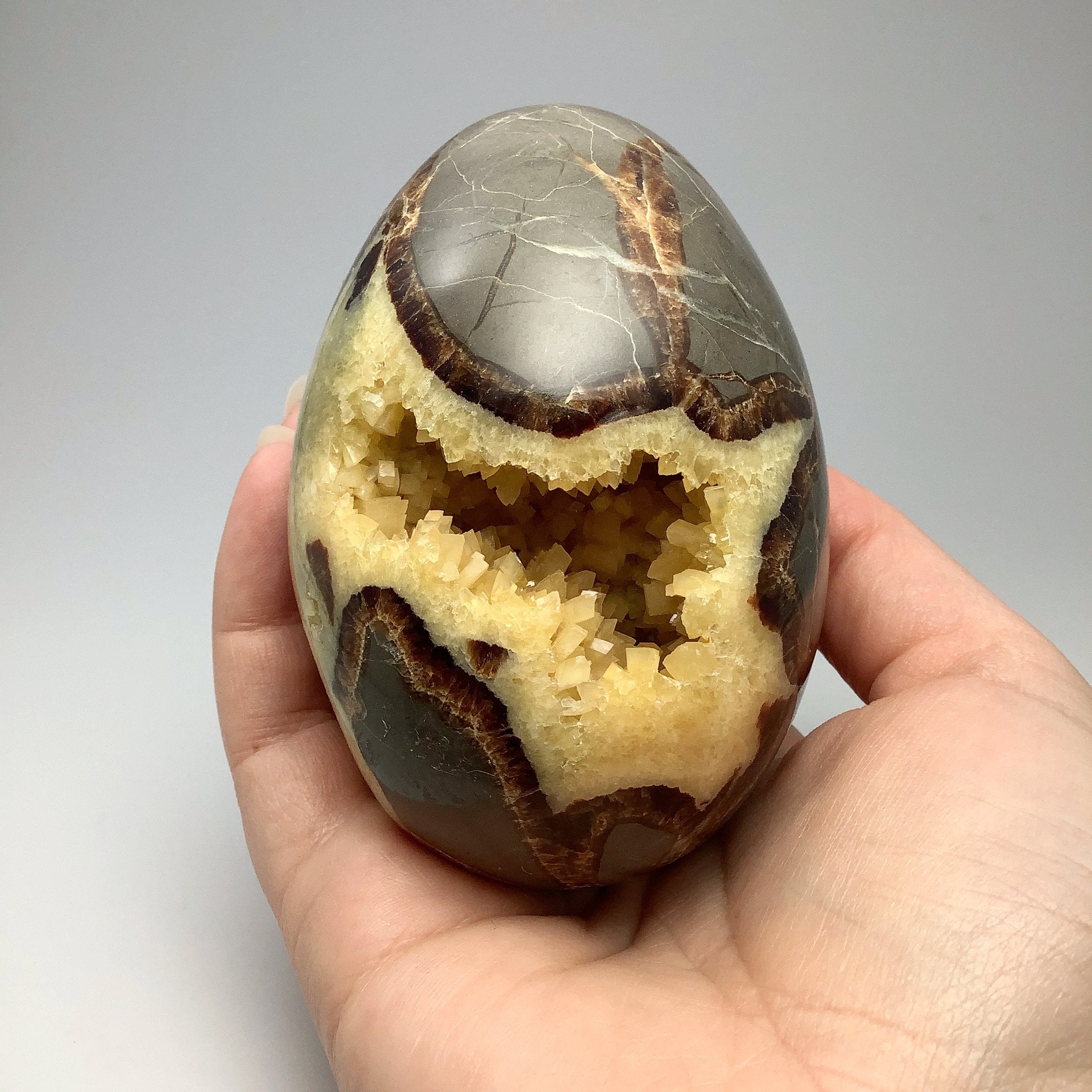 Septarian ring sales