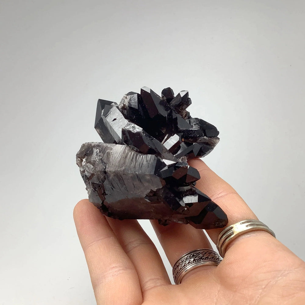 Smoky Quartz Cluster