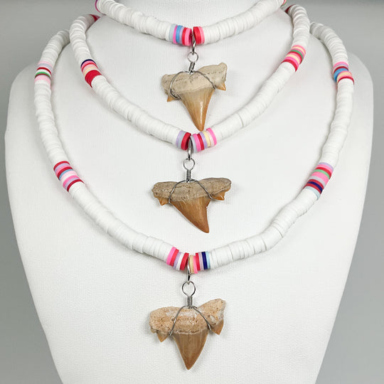 Fossilized Shark Tooth Necklace