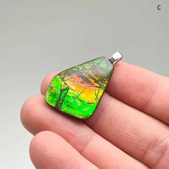 Alberta Ammolite Pendant