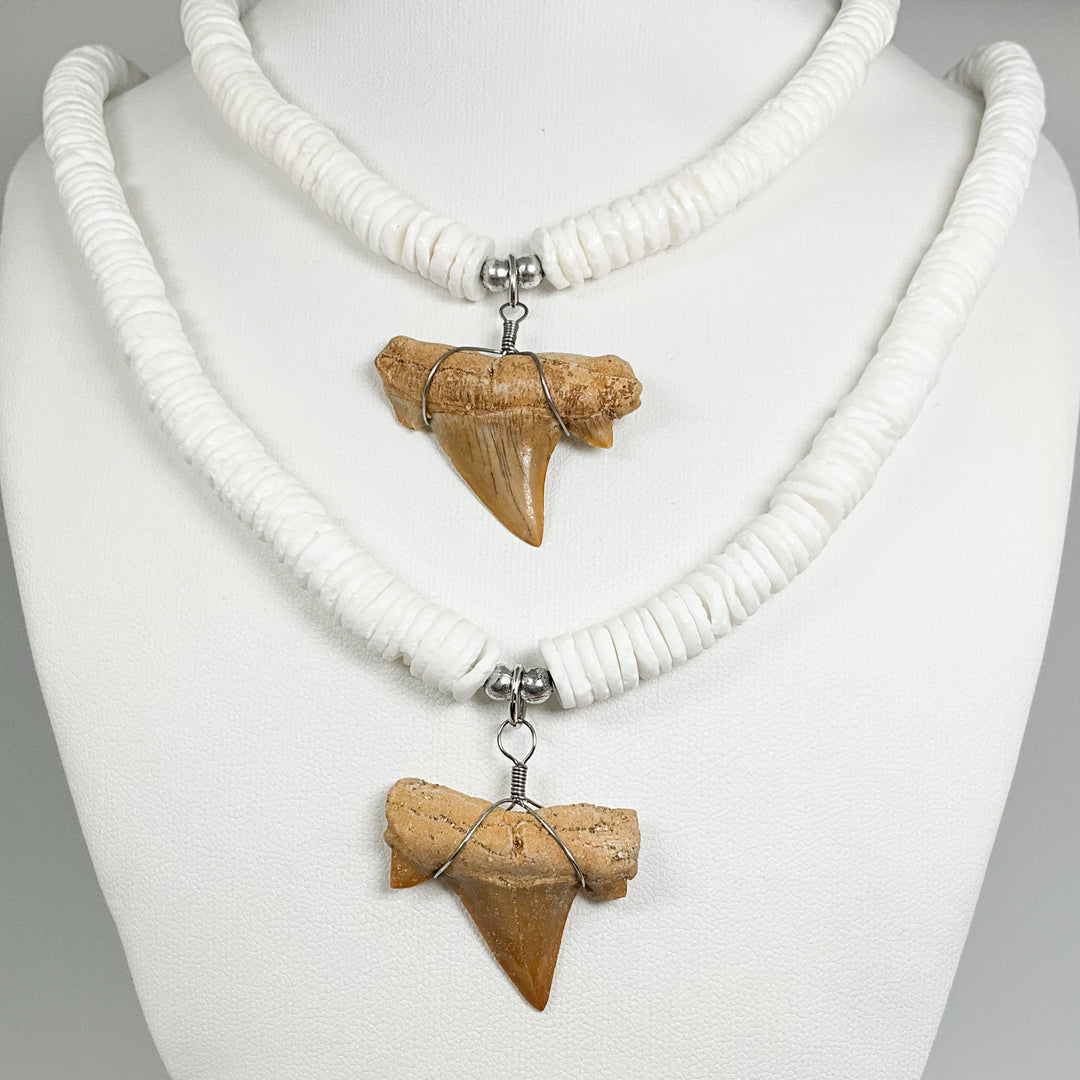 Fossilized Shark Tooth Necklace