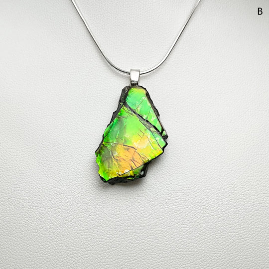 Alberta Ammolite Pendant