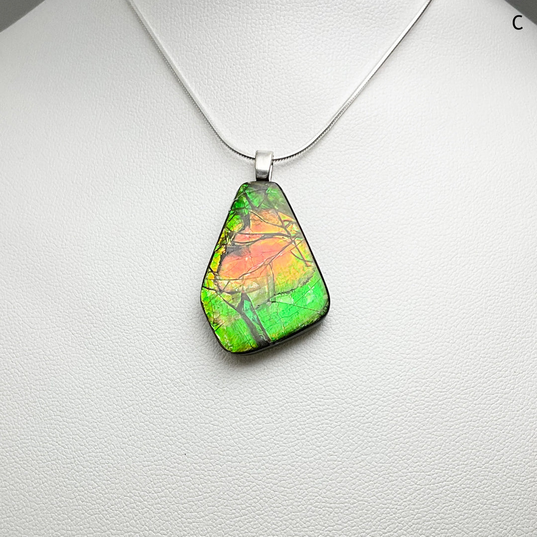 Alberta Ammolite Pendant