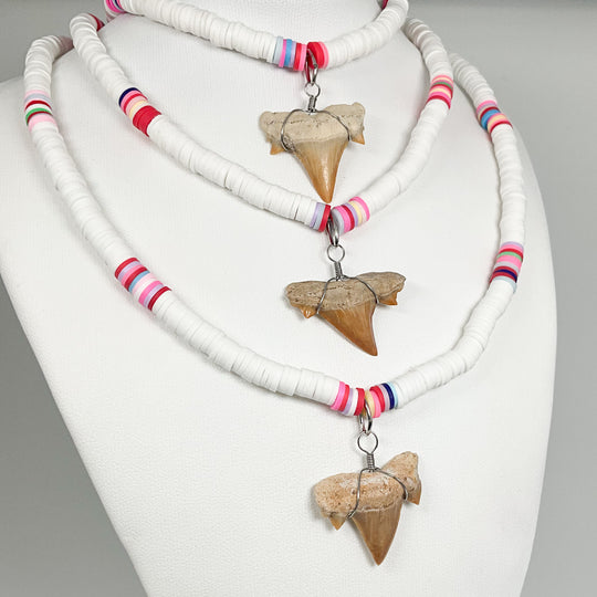 Fossilized Shark Tooth Necklace