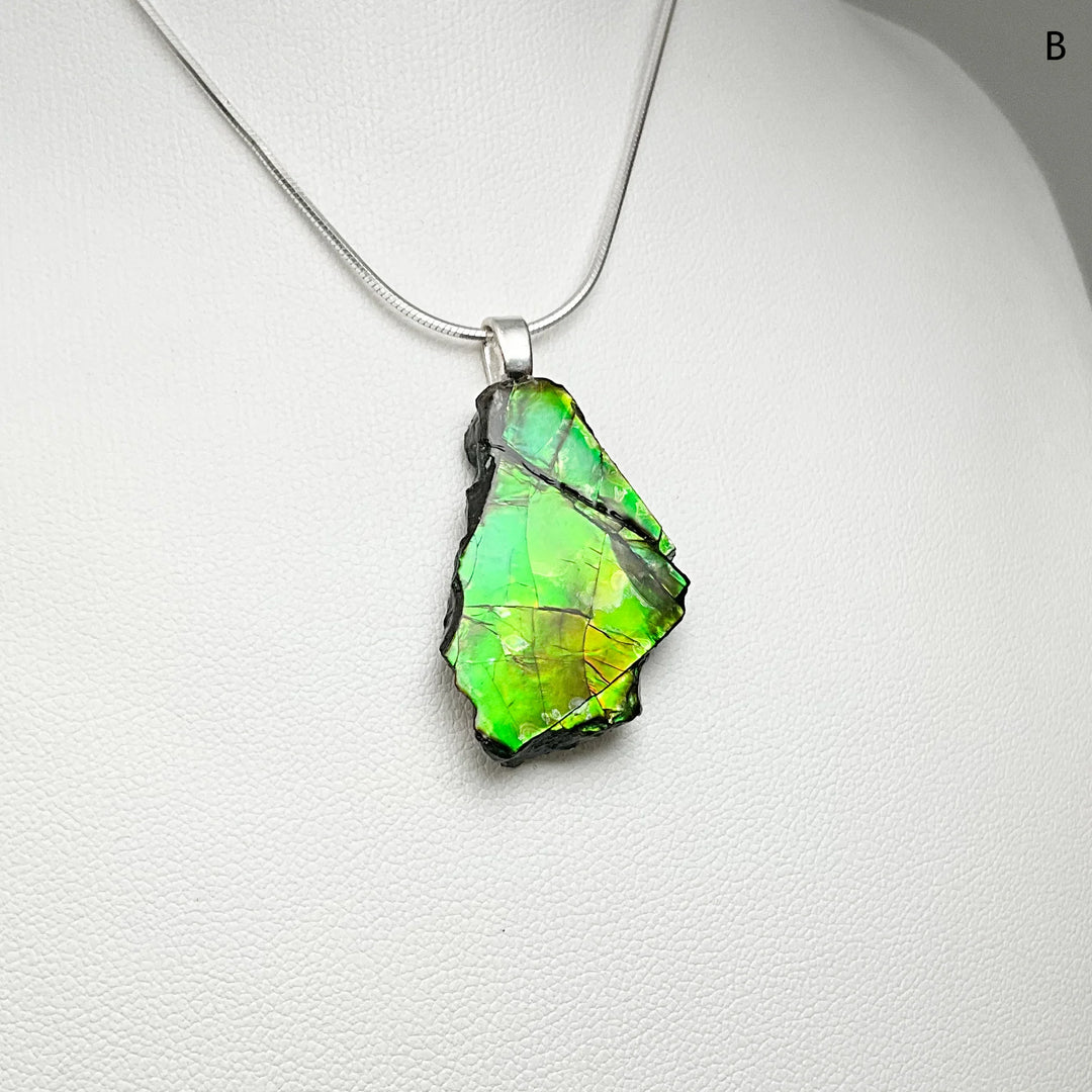 Alberta Ammolite Pendant