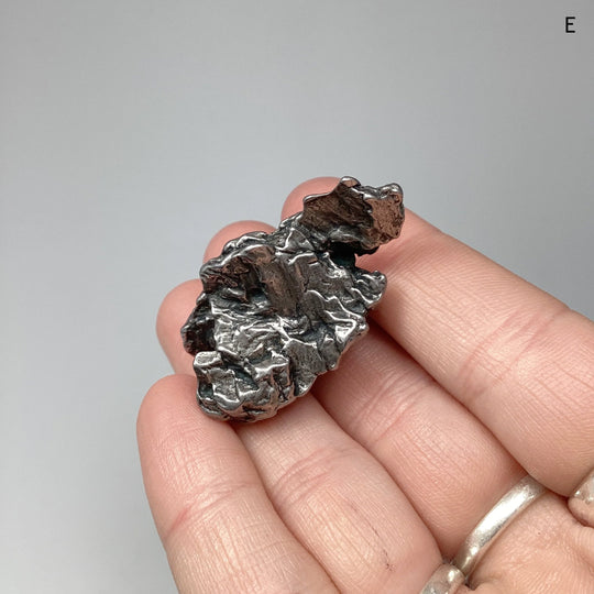 Campo Del Cielo Meteorite