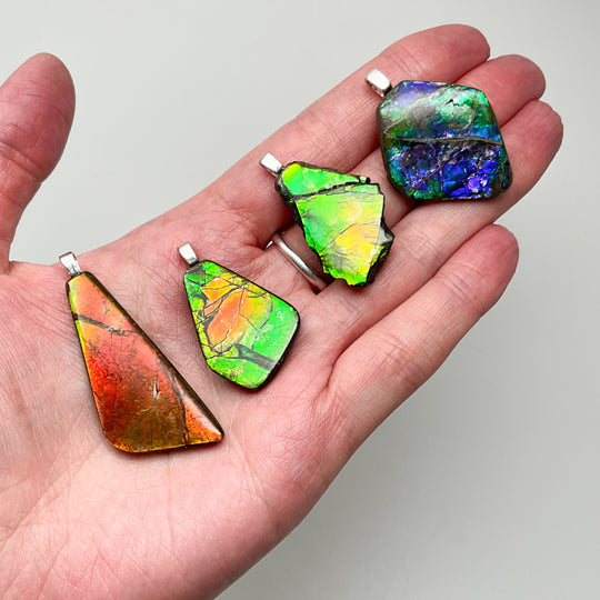 Alberta Ammolite Pendant