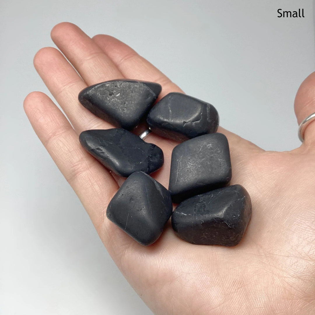 Shungite Tumble