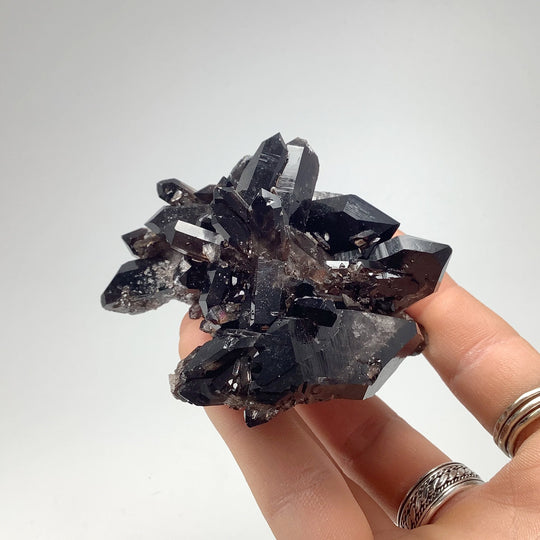 Smoky Quartz Cluster