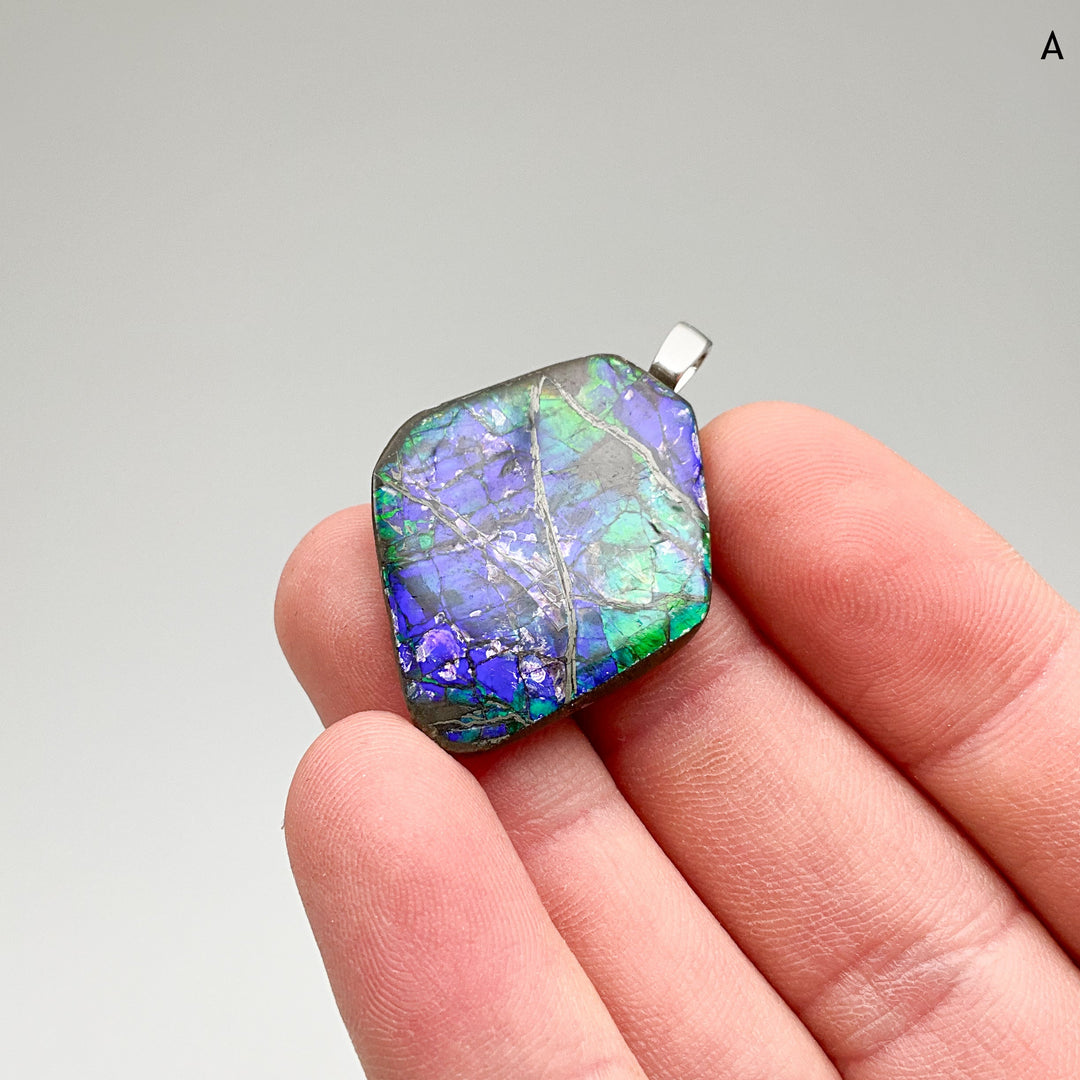 Alberta Ammolite Pendant