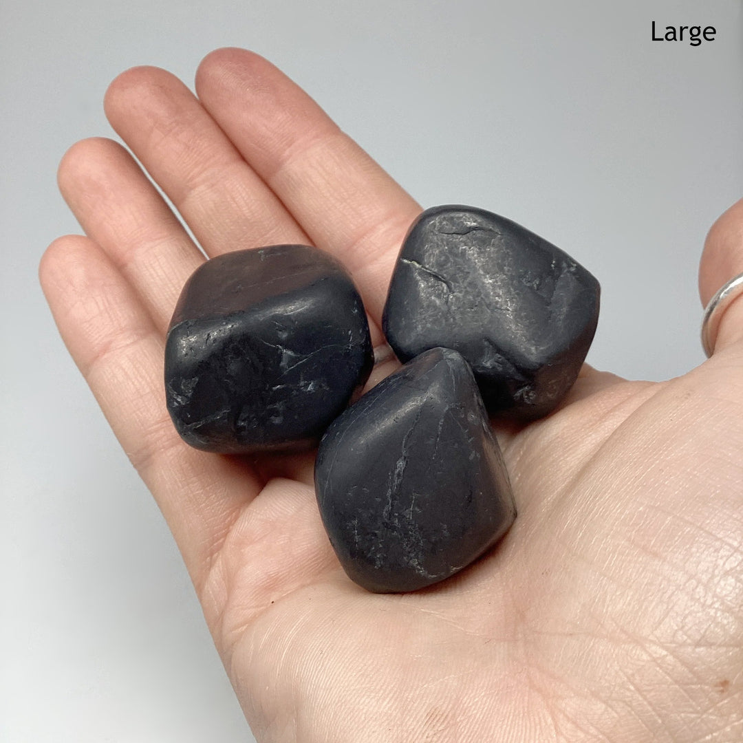 Shungite Tumble