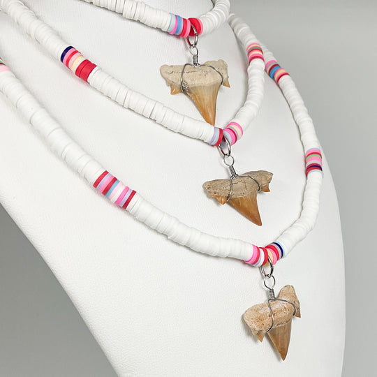 Fossilized Shark Tooth Necklace