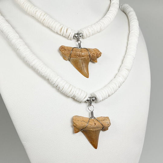 Fossilized Shark Tooth Necklace