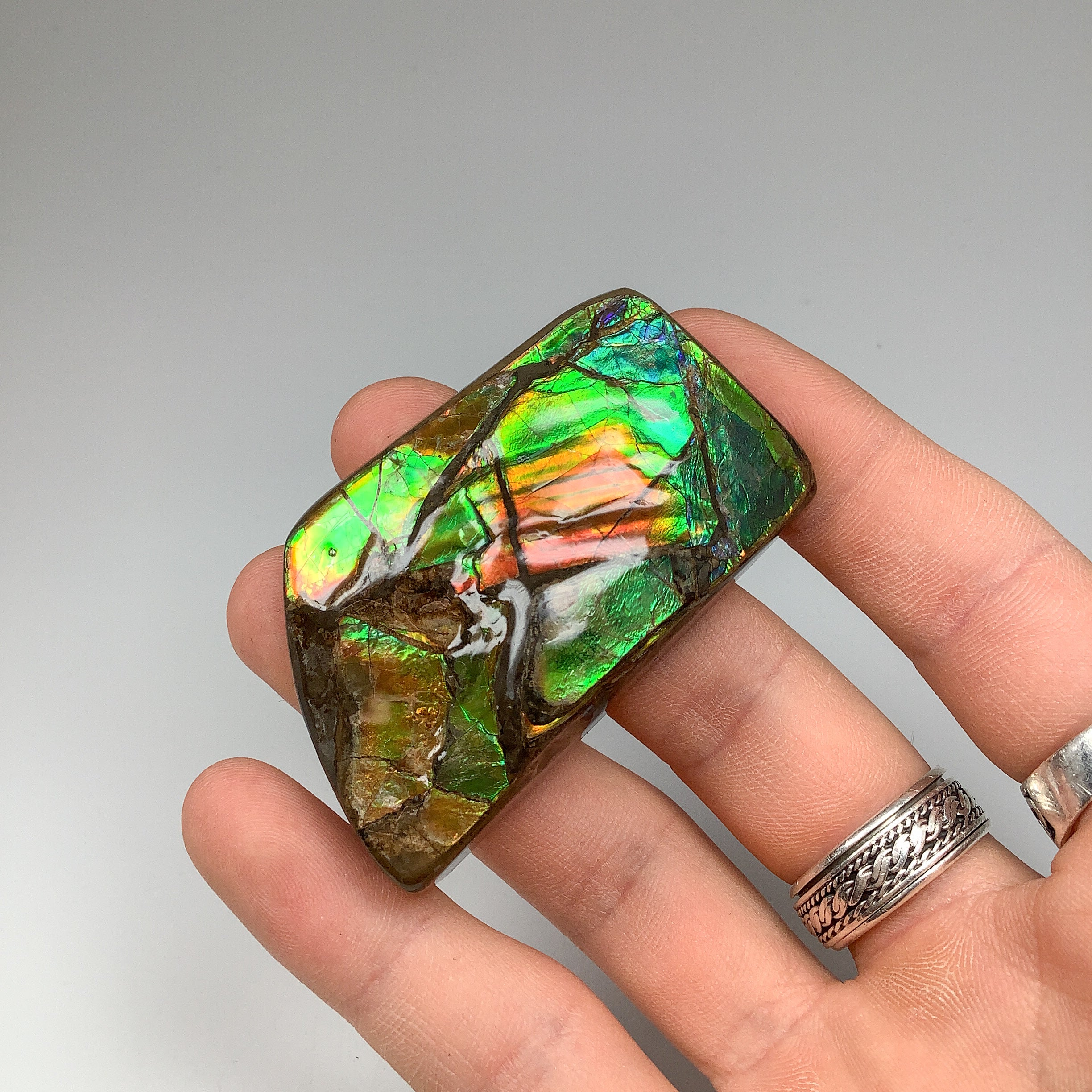 36) Ammolite 2024 Crystal Gemstone