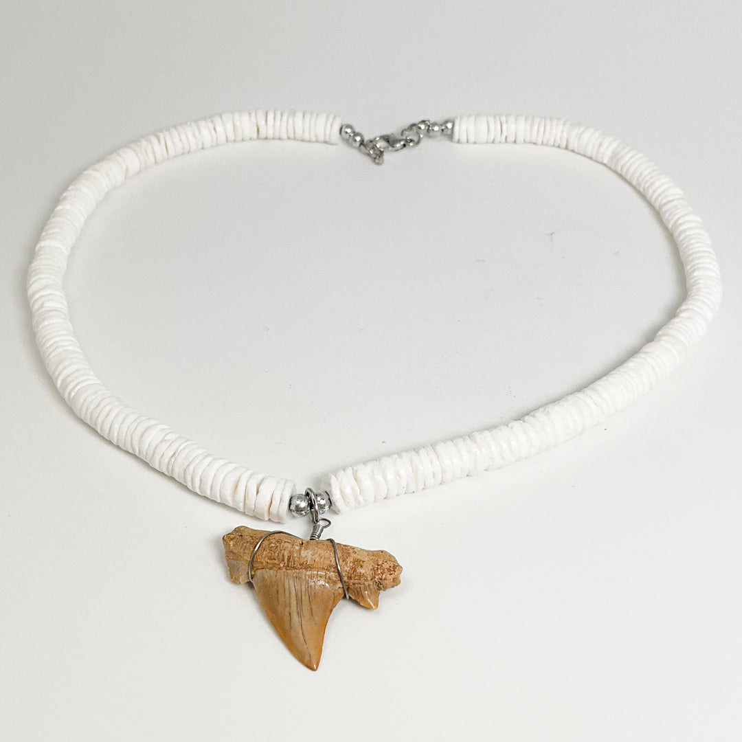 Fossilized Shark Tooth Necklace