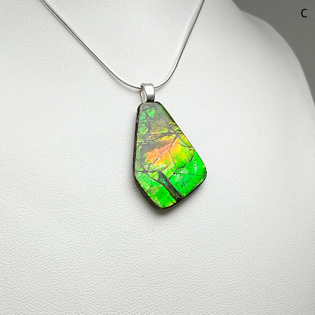 Alberta Ammolite Pendant