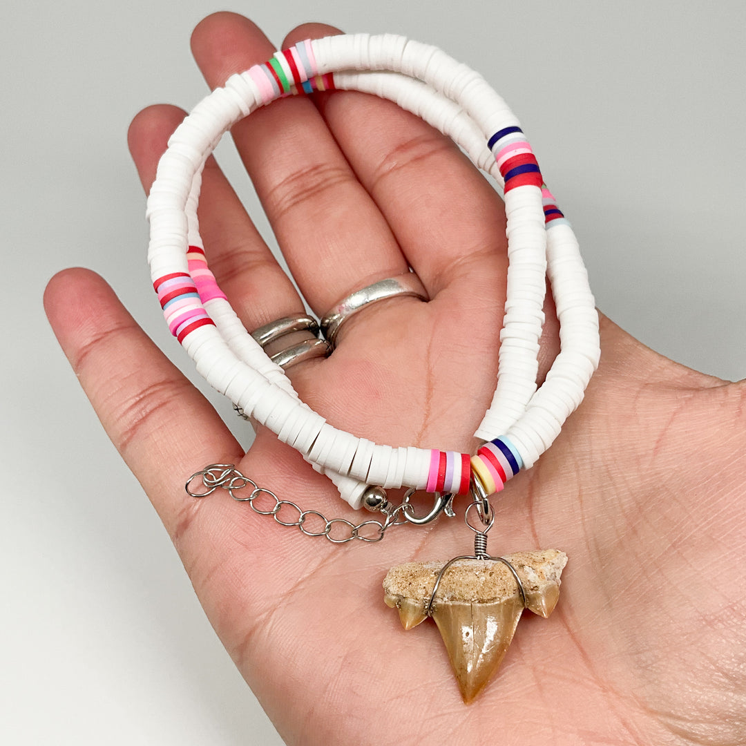 Fossilized Shark Tooth Necklace