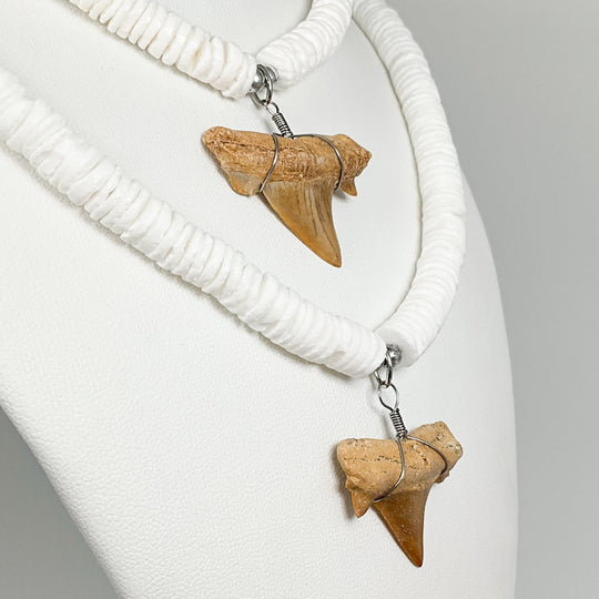 Fossilized Shark Tooth Necklace