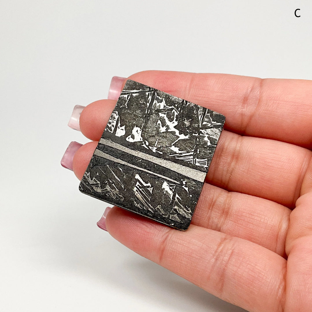 Aletai Meteorite Slice