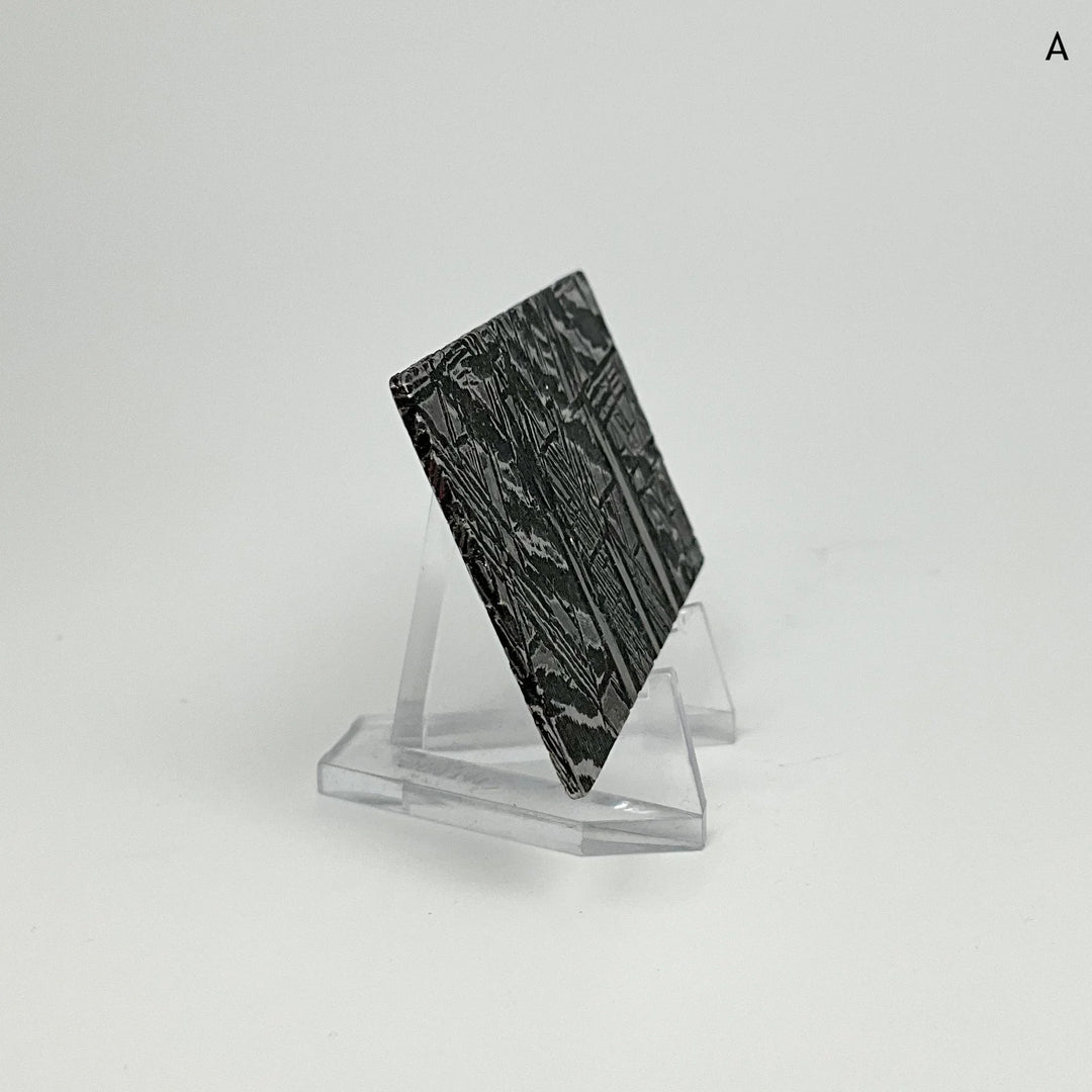 Aletai Meteorite Slice