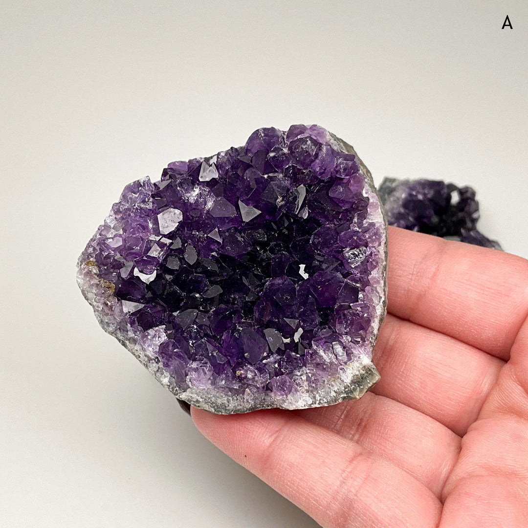 Amethyst Druze Cluster