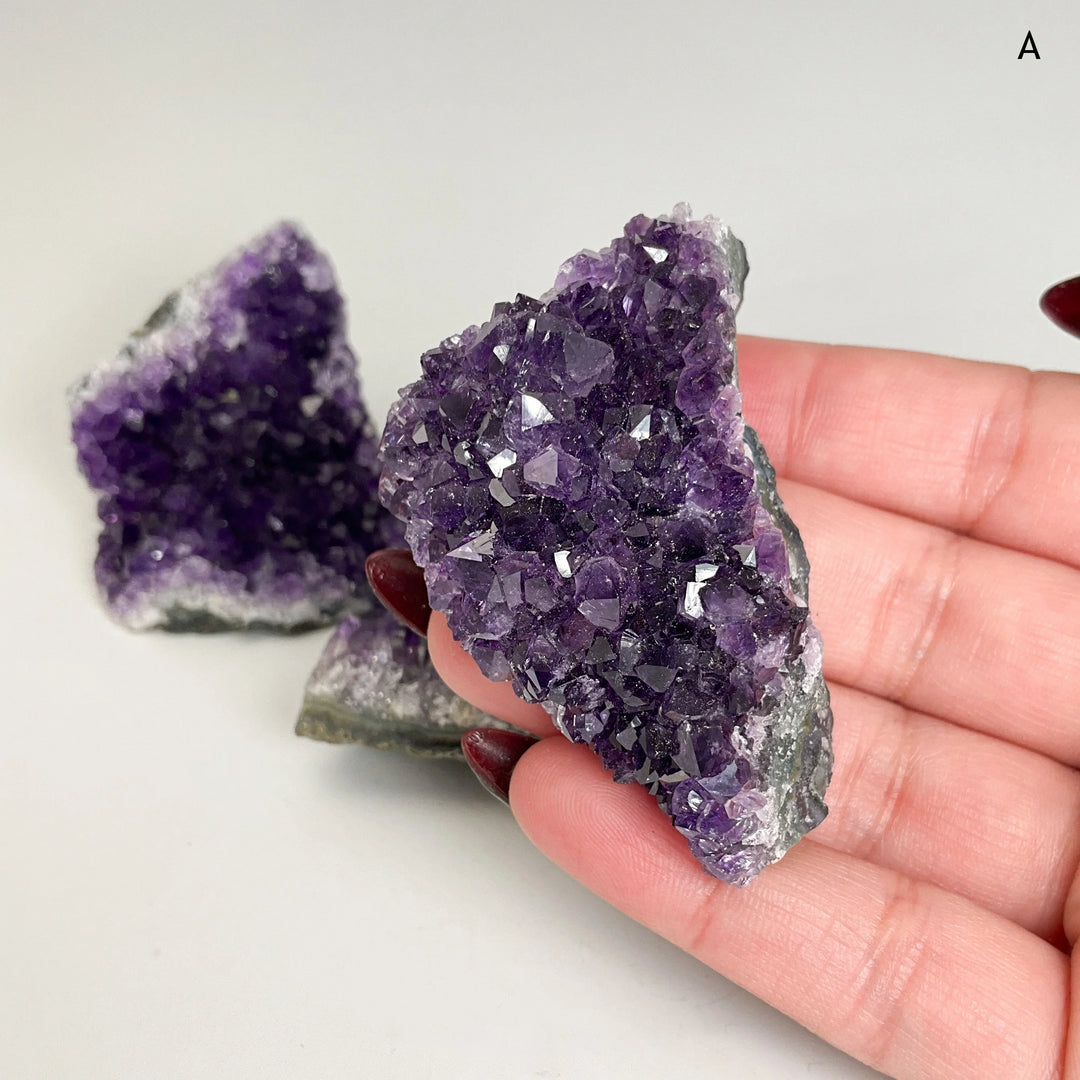 Amethyst Druze Cluster