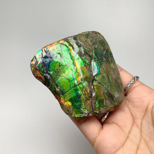 Ammolite Specimen