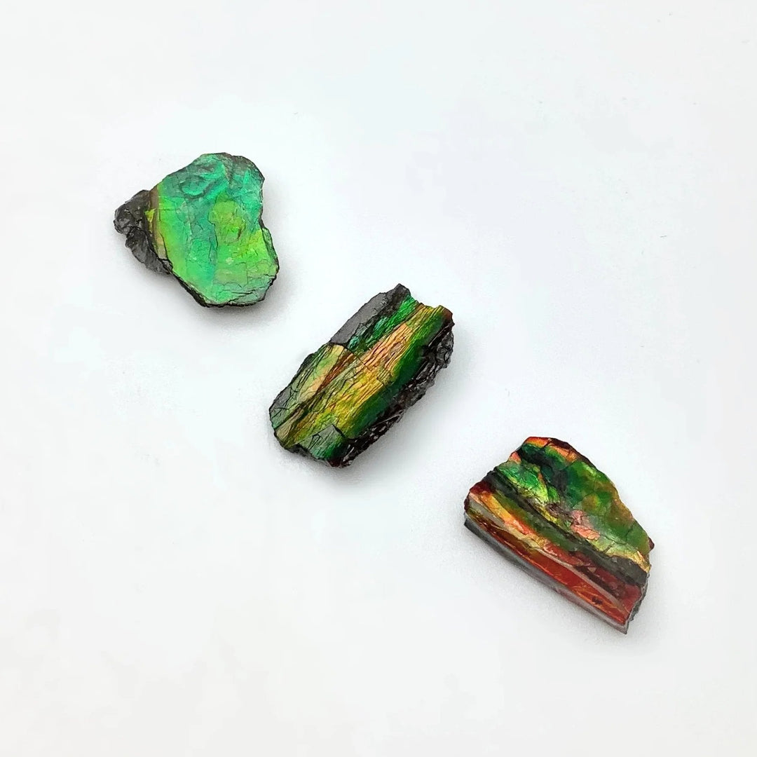 Ammolite Specimen