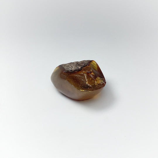 Blue Amber Specimen