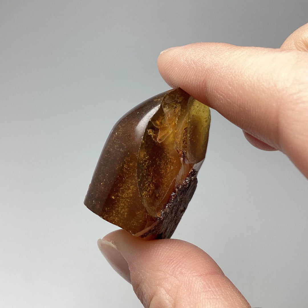 Blue Amber Specimen