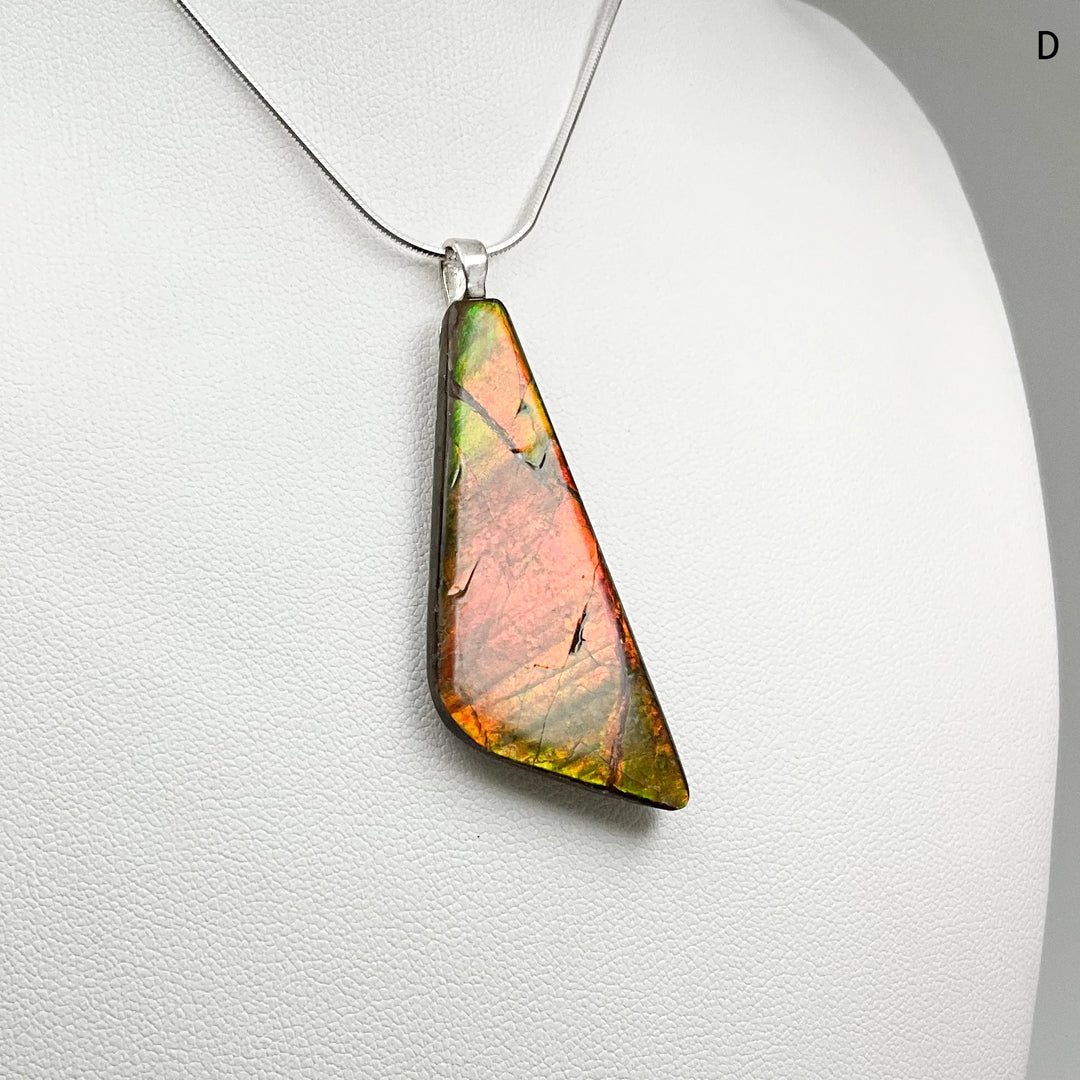 Alberta Ammolite Pendant