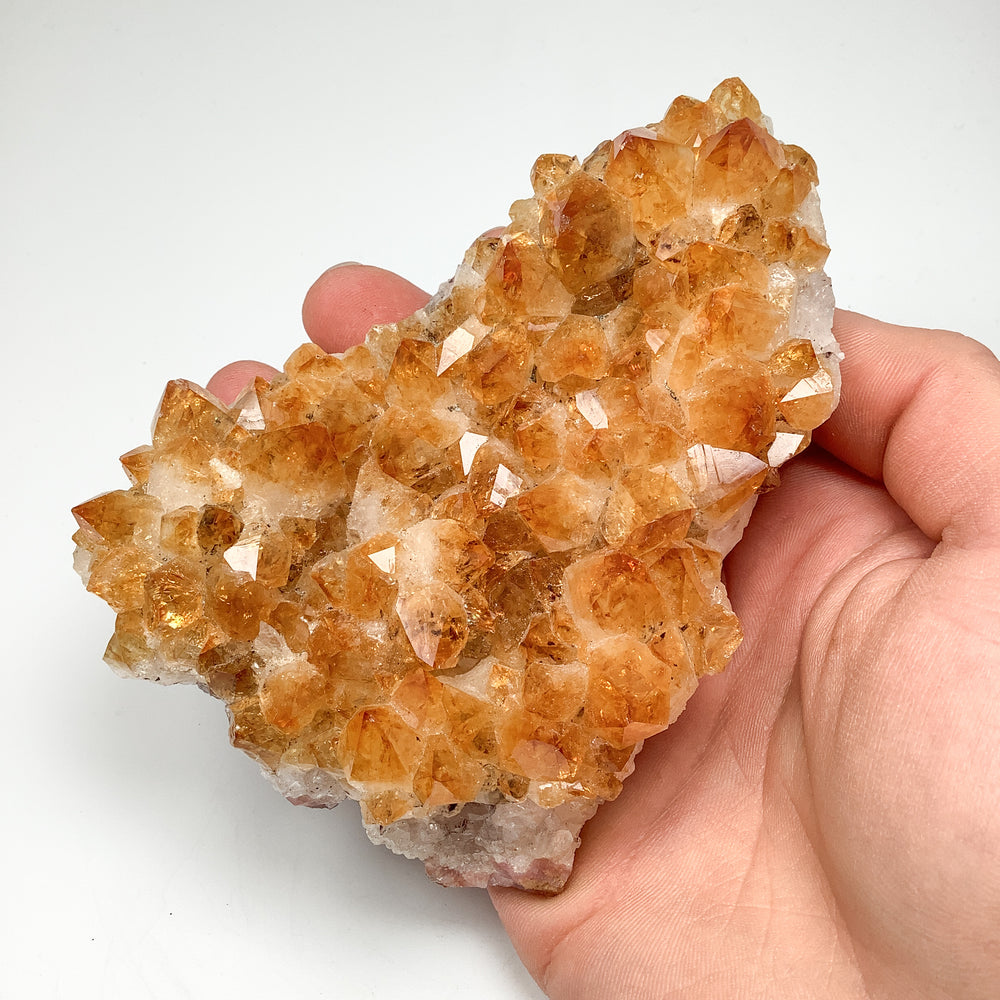 Citrine Druze Cluster