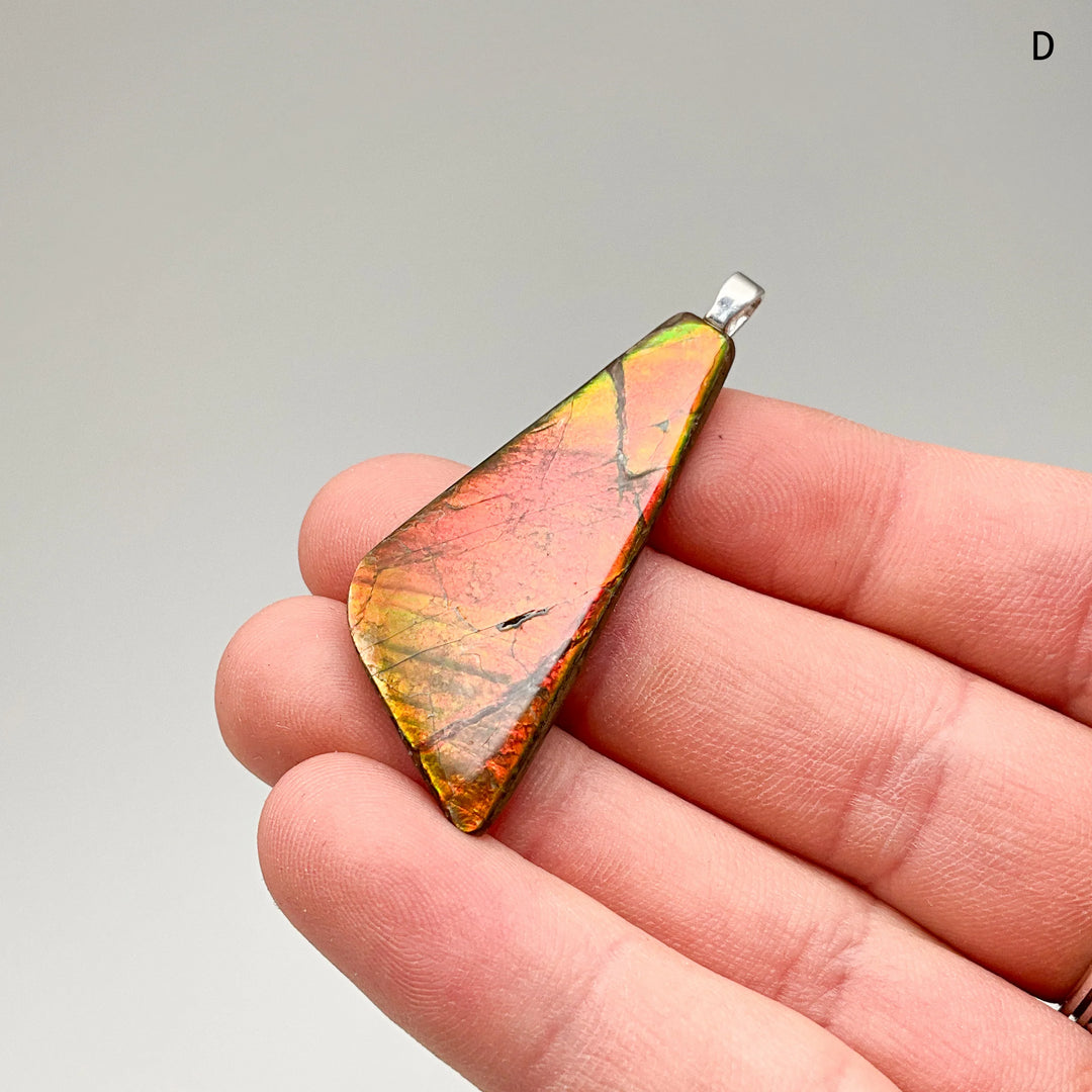 Alberta Ammolite Pendant