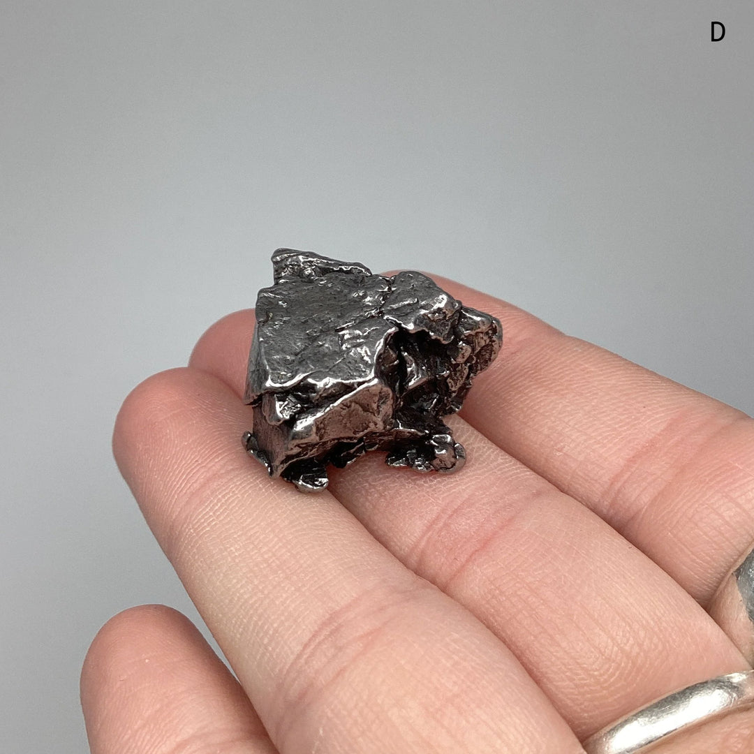 Campo Del Cielo Meteorite