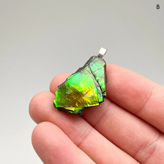 Alberta Ammolite Pendant