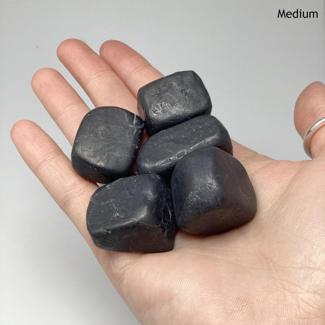 Shungite Tumble