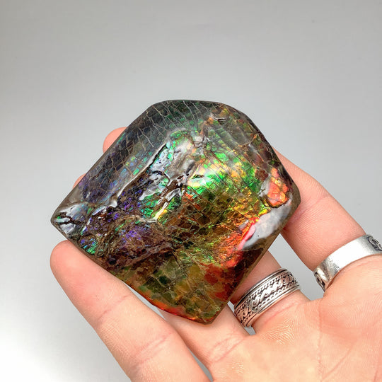 Ammolite Specimen