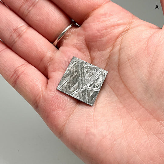 Muonionalusta Meteorite Slice