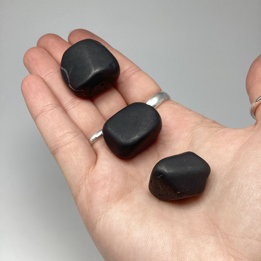 Shungite Tumble