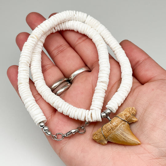 Fossilized Shark Tooth Necklace