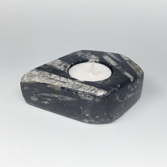 Fossilized Orthoceras Candle Holder