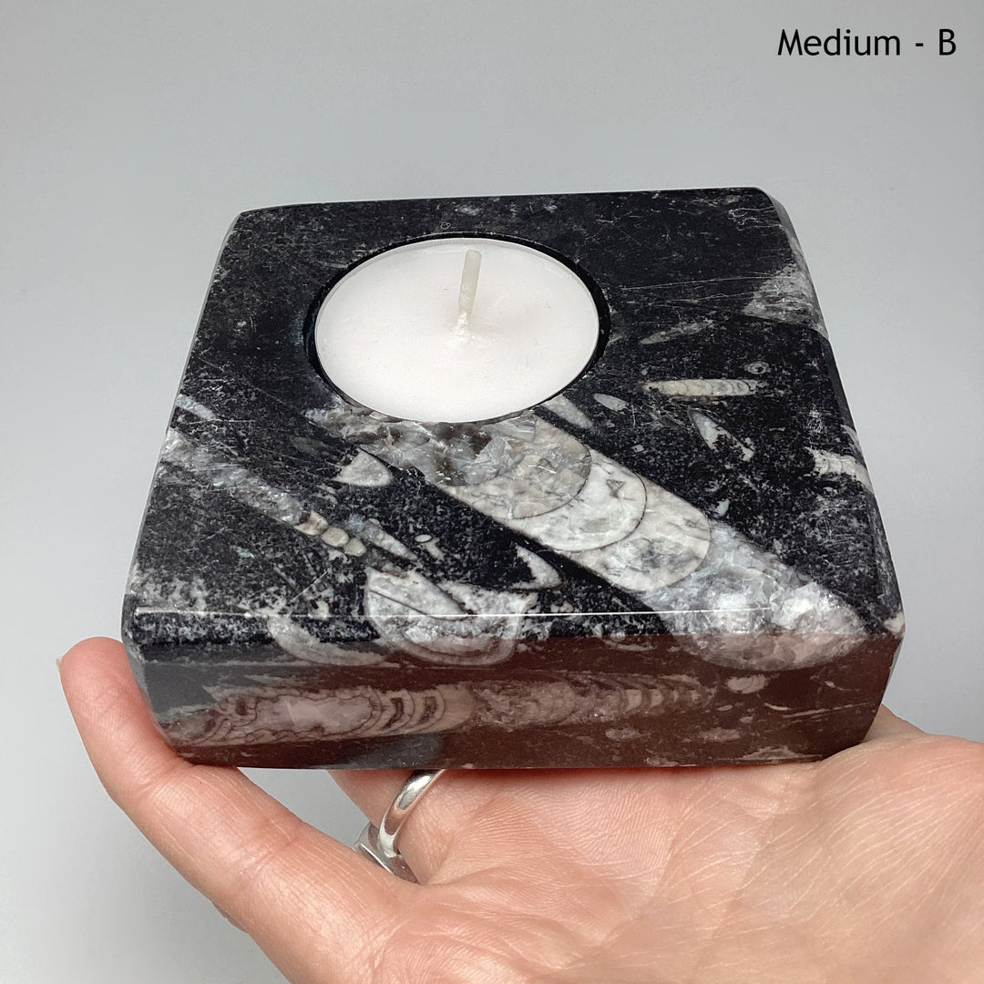 Fossilized Orthoceras Candle Holder