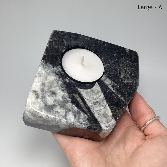 Fossilized Orthoceras Candle Holder