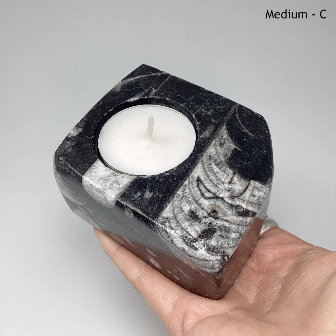 Fossilized Orthoceras Candle Holder