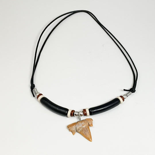 Fossilized Shark Tooth Necklace