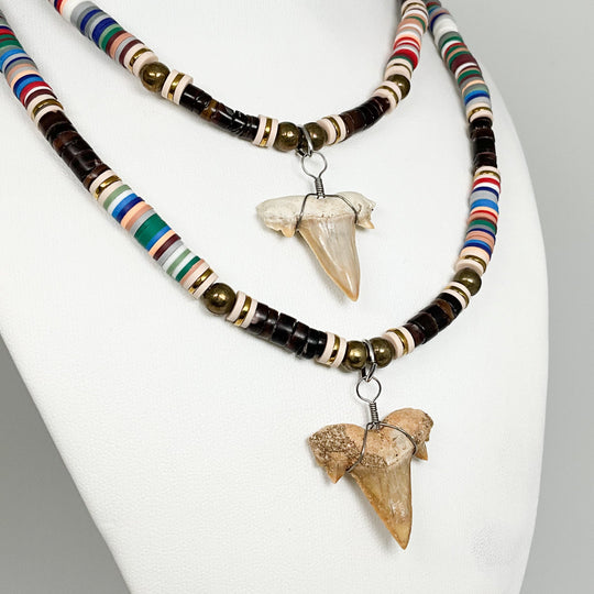 Fossilized Shark Tooth Necklace