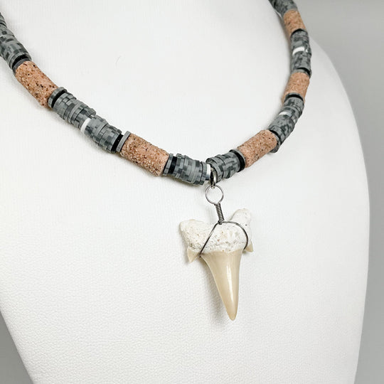 Fossilized Shark Tooth Necklace