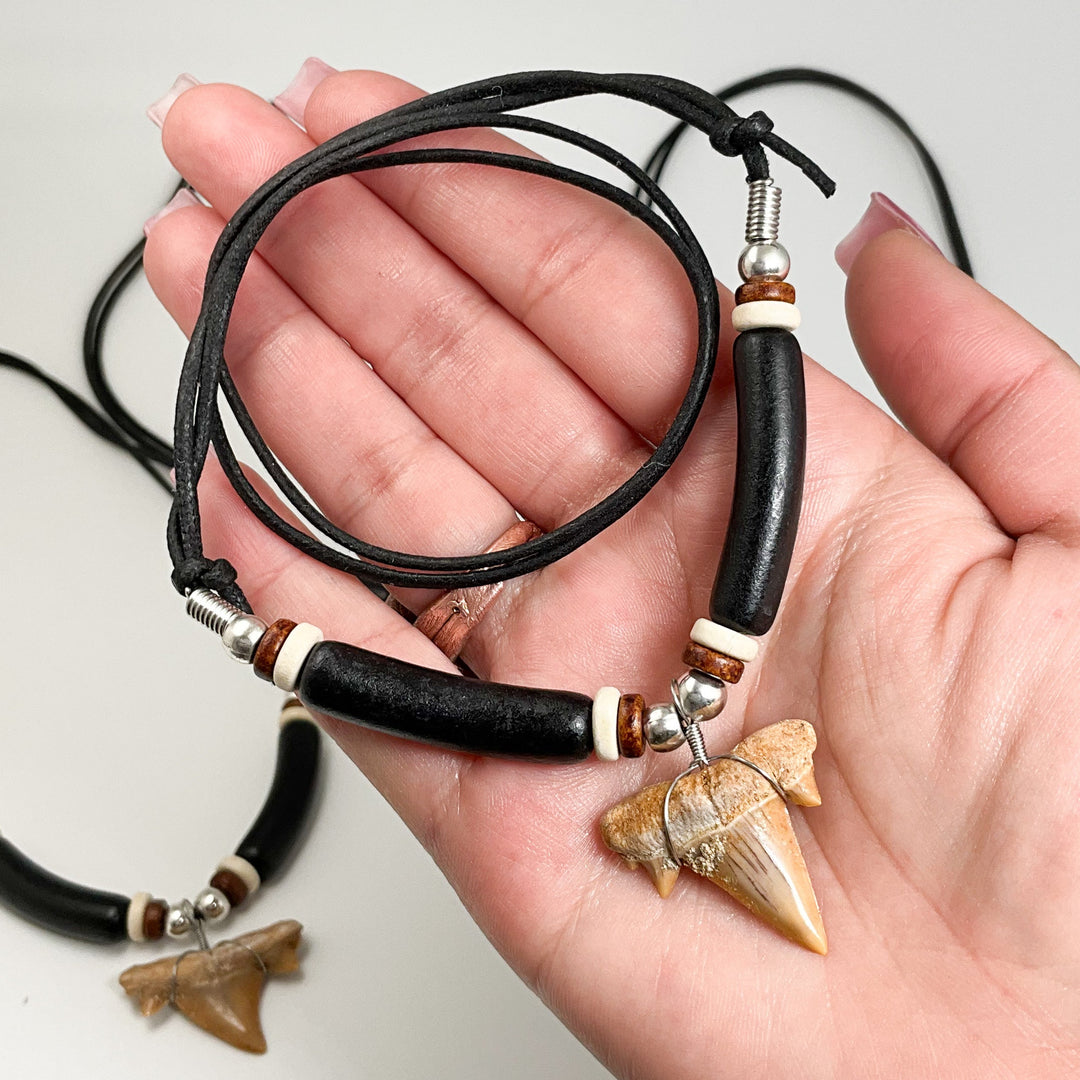 Fossilized Shark Tooth Necklace