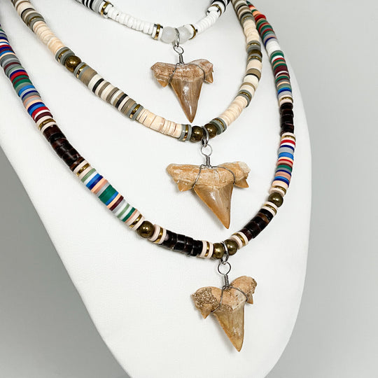 Fossilized Shark Tooth Necklace