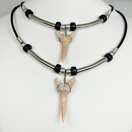 Fossilized Shark Tooth Necklace